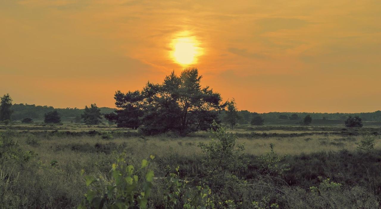 Lodge Goudvink Nunspeet Veluwe Ngoại thất bức ảnh