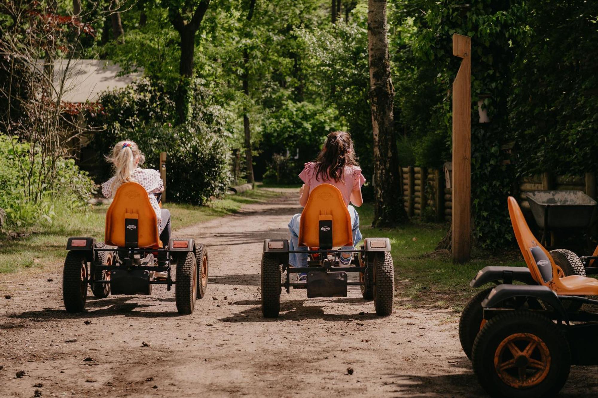 Lodge Goudvink Nunspeet Veluwe Ngoại thất bức ảnh