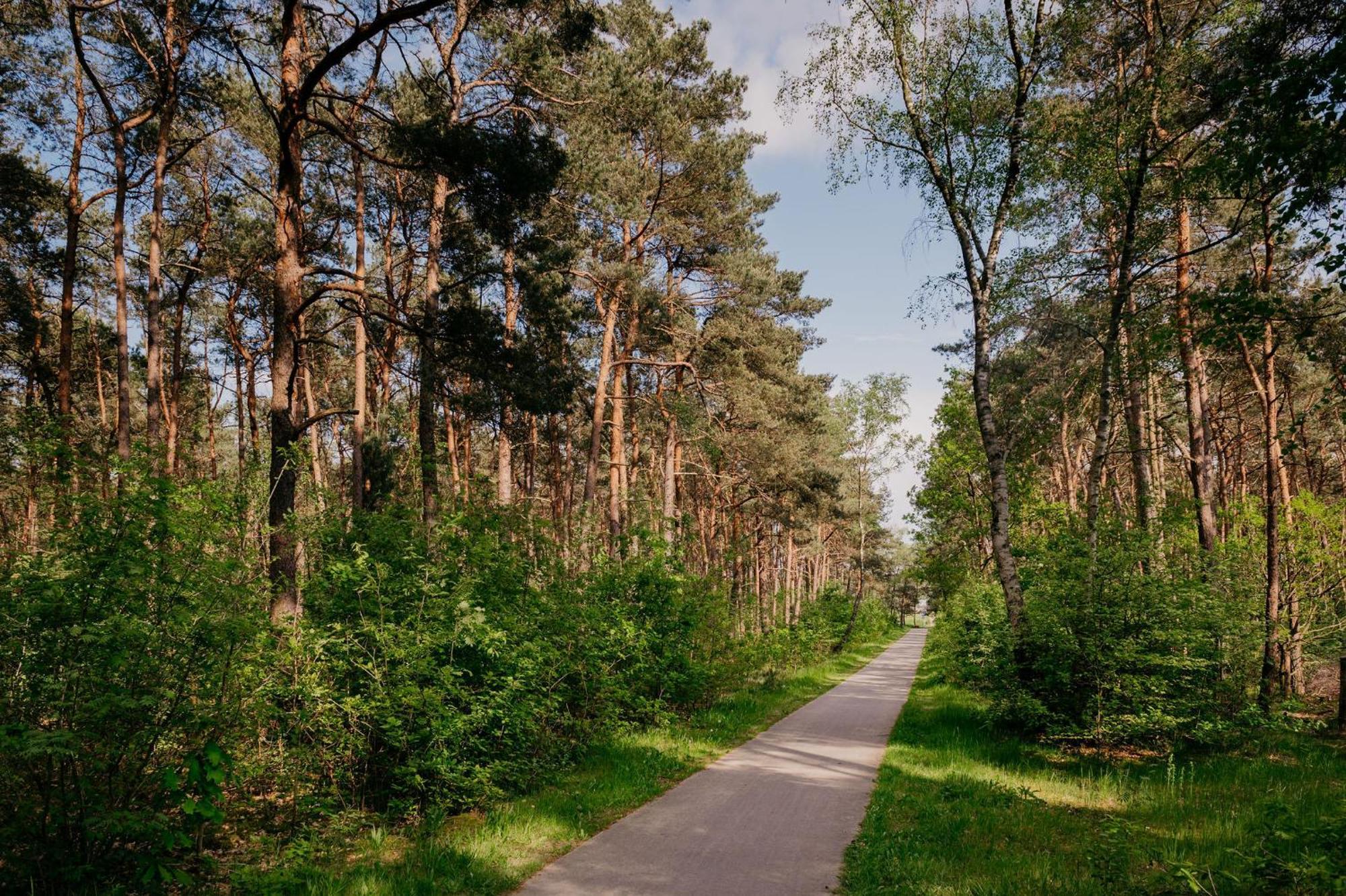 Lodge Goudvink Nunspeet Veluwe Ngoại thất bức ảnh